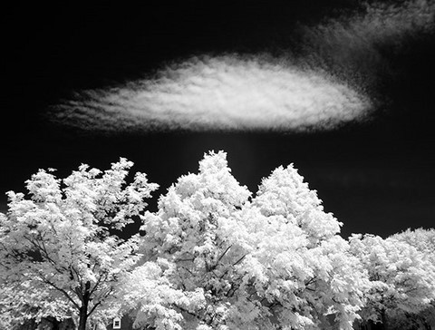 photographies infrarouges numériques en noir et blanc